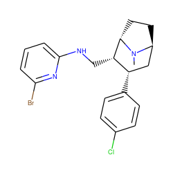 CN1[C@H]2CC[C@H]1[C@@H](CNc1cccc(Br)n1)[C@@H](c1ccc(Cl)cc1)C2 ZINC000254120839