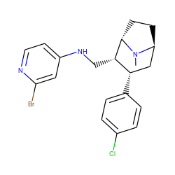 CN1[C@H]2CC[C@H]1[C@@H](CNc1ccnc(Br)c1)[C@@H](c1ccc(Cl)cc1)C2 ZINC000261093775