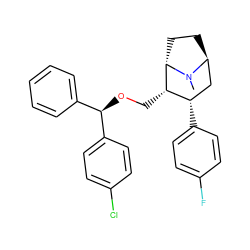 CN1[C@H]2CC[C@H]1[C@@H](CO[C@H](c1ccccc1)c1ccc(Cl)cc1)[C@@H](c1ccc(F)cc1)C2 ZINC000261078578