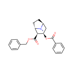 CN1[C@H]2CC[C@H]1[C@H](C(=O)OCc1ccccc1)[C@H](OC(=O)c1ccccc1)C2 ZINC000253638857