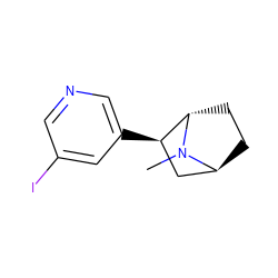 CN1[C@H]2CC[C@H]1[C@H](c1cncc(I)c1)C2 ZINC000253639904