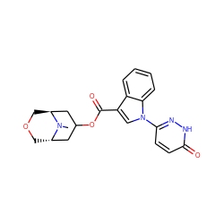 CN1[C@H]2COC[C@H]1CC(OC(=O)c1cn(-c3ccc(=O)[nH]n3)c3ccccc13)C2 ZINC000220967470