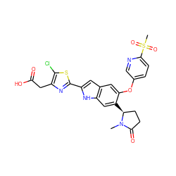 CN1C(=O)CC[C@@H]1c1cc2[nH]c(-c3nc(CC(=O)O)c(Cl)s3)cc2cc1Oc1ccc(S(C)(=O)=O)nc1 ZINC001772642578