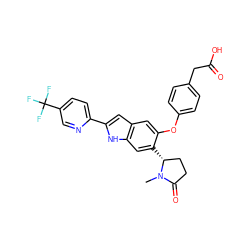 CN1C(=O)CC[C@H]1c1cc2[nH]c(-c3ccc(C(F)(F)F)cn3)cc2cc1Oc1ccc(CC(=O)O)cc1 ZINC000209696399