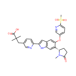 CN1C(=O)CC[C@H]1c1cc2[nH]c(-c3ccc(CC(C)(C)C(=O)O)cn3)cc2cc1Oc1ccc(S(C)(=O)=O)nc1 ZINC000209715360