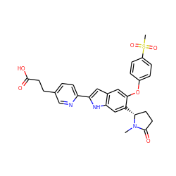 CN1C(=O)CC[C@H]1c1cc2[nH]c(-c3ccc(CCC(=O)O)cn3)cc2cc1Oc1ccc(S(C)(=O)=O)cc1 ZINC000209701886