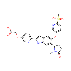 CN1C(=O)CC[C@H]1c1cc2[nH]c(-c3ccc(OCC(=O)O)cn3)cc2cc1Oc1ccc(S(C)(=O)=O)nc1 ZINC000209696472