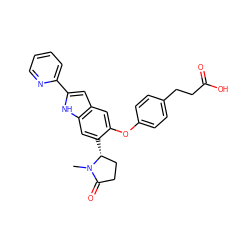 CN1C(=O)CC[C@H]1c1cc2[nH]c(-c3ccccn3)cc2cc1Oc1ccc(CCC(=O)O)cc1 ZINC000209709293