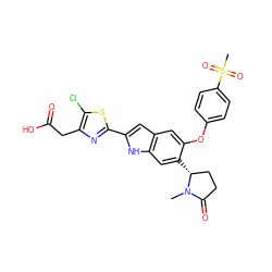 CN1C(=O)CC[C@H]1c1cc2[nH]c(-c3nc(CC(=O)O)c(Cl)s3)cc2cc1Oc1ccc(S(C)(=O)=O)cc1 ZINC001772653433