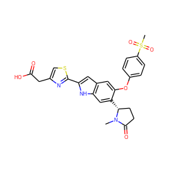 CN1C(=O)CC[C@H]1c1cc2[nH]c(-c3nc(CC(=O)O)cs3)cc2cc1Oc1ccc(S(C)(=O)=O)cc1 ZINC001772655740