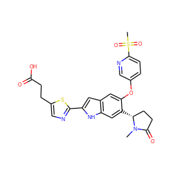 CN1C(=O)CC[C@H]1c1cc2[nH]c(-c3ncc(CCC(=O)O)s3)cc2cc1Oc1ccc(S(C)(=O)=O)nc1 ZINC000209690658