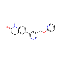 CN1C(=O)CCc2cc(-c3cncc(COc4ccccn4)c3)ccc21 ZINC000221364604