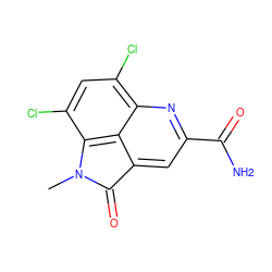 CN1C(=O)c2cc(C(N)=O)nc3c(Cl)cc(Cl)c1c23 ZINC000073198876