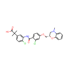 CN1C[C@@H](COc2ccc(C(=O)Nc3cc(C(C)(C)C(=O)O)ccc3Cl)c(Cl)c2)Oc2ccccc21 ZINC000059649287