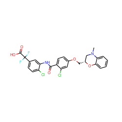 CN1C[C@@H](COc2ccc(C(=O)Nc3cc(C(F)(F)C(=O)O)ccc3Cl)c(Cl)c2)Oc2ccccc21 ZINC000059648918