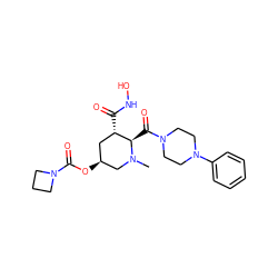 CN1C[C@@H](OC(=O)N2CCC2)C[C@H](C(=O)NO)[C@H]1C(=O)N1CCN(c2ccccc2)CC1 ZINC000096308875