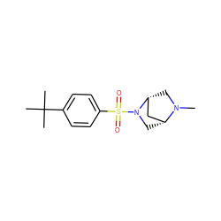 CN1C[C@@H]2C[C@H]1CN2S(=O)(=O)c1ccc(C(C)(C)C)cc1 ZINC000084466401