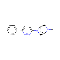 CN1C[C@H]2C[C@@H]1CN2c1ccc(-c2ccccc2)nn1 ZINC000049116604