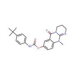 CN1C2=NCCCN2C(=O)c2cc(OC(=O)Nc3ccc(C(C)(C)C)cc3)ccc21 ZINC000299829851