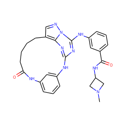 CN1CC(NC(=O)c2cccc(Nc3nc4nc5c(cnn35)CCCCC(=O)Nc3cccc(c3)N4)c2)C1 ZINC000029129327