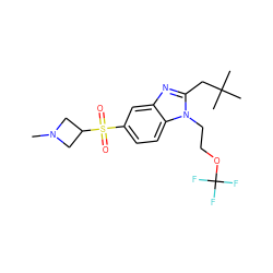 CN1CC(S(=O)(=O)c2ccc3c(c2)nc(CC(C)(C)C)n3CCOC(F)(F)F)C1 ZINC000299836484