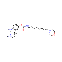 CN1CC[C@@]2(C)c3cc(OC(=O)NCCCCCCCCN4CCOCC4)ccc3N(C)[C@@H]12 ZINC000026180438