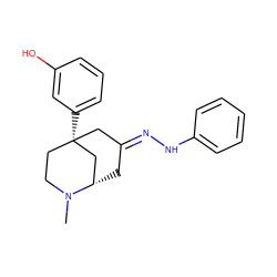 CN1CC[C@@]2(c3cccc(O)c3)C/C(=N/Nc3ccccc3)C[C@H]1C2 ZINC000100725754