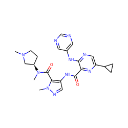 CN1CC[C@@H](N(C)C(=O)c2c(NC(=O)c3nc(C4CC4)cnc3Nc3cncnc3)cnn2C)C1 ZINC000148154877