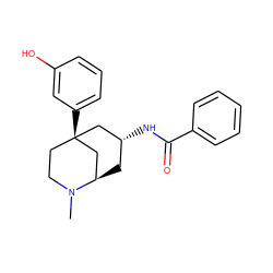 CN1CC[C@]2(c3cccc(O)c3)C[C@H](NC(=O)c3ccccc3)C[C@@H]1C2 ZINC000100725746