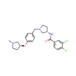 CN1CC[C@H](Oc2ccc(CN3CC[C@H](NC(=O)c4ccc(Cl)c(Cl)c4)C3)cc2)C1 ZINC000040934888