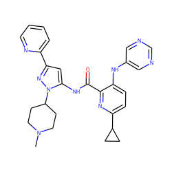 CN1CCC(n2nc(-c3ccccn3)cc2NC(=O)c2nc(C3CC3)ccc2Nc2cncnc2)CC1 ZINC000096167412