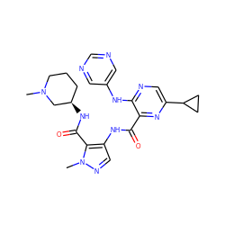 CN1CCC[C@@H](NC(=O)c2c(NC(=O)c3nc(C4CC4)cnc3Nc3cncnc3)cnn2C)C1 ZINC000169701859