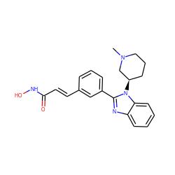 CN1CCC[C@@H](n2c(-c3cccc(/C=C/C(=O)NO)c3)nc3ccccc32)C1 ZINC000049072179