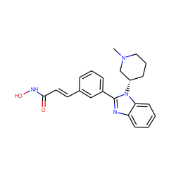 CN1CCC[C@H](n2c(-c3cccc(/C=C/C(=O)NO)c3)nc3ccccc32)C1 ZINC000049072177