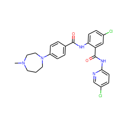 CN1CCCN(c2ccc(C(=O)Nc3ccc(Cl)cc3C(=O)Nc3ccc(Cl)cn3)cc2)CC1 ZINC000038474023