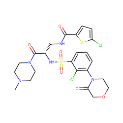 CN1CCN(C(=O)[C@H](CNC(=O)c2ccc(Cl)s2)NS(=O)(=O)c2cccc(N3CCOCC3=O)c2Cl)CC1 ZINC000103240202