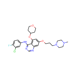 CN1CCN(CCCOc2cc(OC3CCOCC3)c3c(Nc4ccc(F)c(Cl)c4)ncnc3c2)CC1 ZINC000028571655