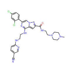 CN1CCN(CCNC(=O)c2cc3c(NCCNc4ccc(C#N)cn4)nc(-c4ccc(Cl)cc4Cl)cn3n2)CC1 ZINC000096167597