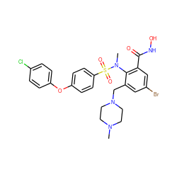 CN1CCN(Cc2cc(Br)cc(C(=O)NO)c2N(C)S(=O)(=O)c2ccc(Oc3ccc(Cl)cc3)cc2)CC1 ZINC000026745756