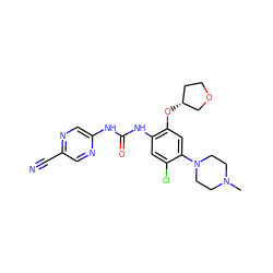 CN1CCN(c2cc(O[C@@H]3CCOC3)c(NC(=O)Nc3cnc(C#N)cn3)cc2Cl)CC1 ZINC000014956187