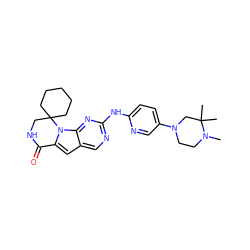 CN1CCN(c2ccc(Nc3ncc4cc5n(c4n3)C3(CCCCC3)CNC5=O)nc2)CC1(C)C ZINC000219194993