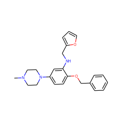 CN1CCN(c2ccc(OCc3ccccc3)c(NCc3ccco3)c2)CC1 ZINC000028955775