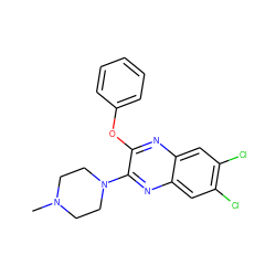 CN1CCN(c2nc3cc(Cl)c(Cl)cc3nc2Oc2ccccc2)CC1 ZINC000029053355