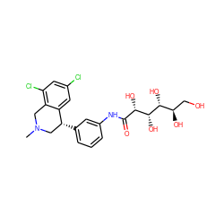 CN1Cc2c(Cl)cc(Cl)cc2[C@H](c2cccc(NC(=O)[C@H](O)[C@@H](O)[C@H](O)[C@H](O)CO)c2)C1 ZINC000013977959