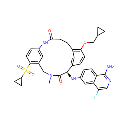 CN1Cc2cc(ccc2S(=O)(=O)C2CC2)NC(=O)CCc2cc(ccc2OCC2CC2)[C@@H](Nc2ccc3c(N)ncc(F)c3c2)C1=O ZINC000221882135