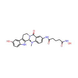 CN1c2ccc(NC(=O)CCCC(=O)NO)cc2C(=O)N2CCc3c([nH]c4ccc(O)cc34)[C@@H]21 ZINC000473119332