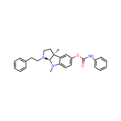 CN1c2ccc(OC(=O)Nc3ccccc3)cc2[C@]2(C)CCN(CCc3ccccc3)[C@H]12 ZINC000032223229