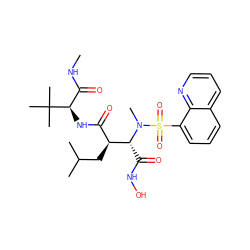 CNC(=O)[C@@H](NC(=O)[C@H](CC(C)C)[C@@H](C(=O)NO)N(C)S(=O)(=O)c1cccc2cccnc12)C(C)(C)C ZINC000027548899