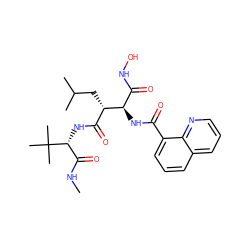 CNC(=O)[C@@H](NC(=O)[C@H](CC(C)C)[C@H](NC(=O)c1cccc2cccnc12)C(=O)NO)C(C)(C)C ZINC000013802375