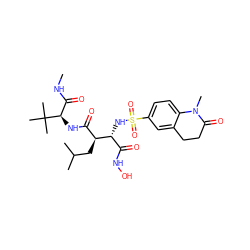 CNC(=O)[C@@H](NC(=O)[C@H](CC(C)C)[C@H](NS(=O)(=O)c1ccc2c(c1)CCC(=O)N2C)C(=O)NO)C(C)(C)C ZINC000027553648